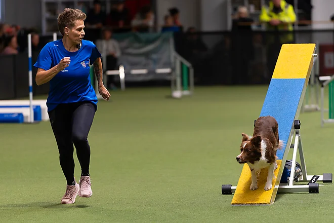 Agility Masters 2025