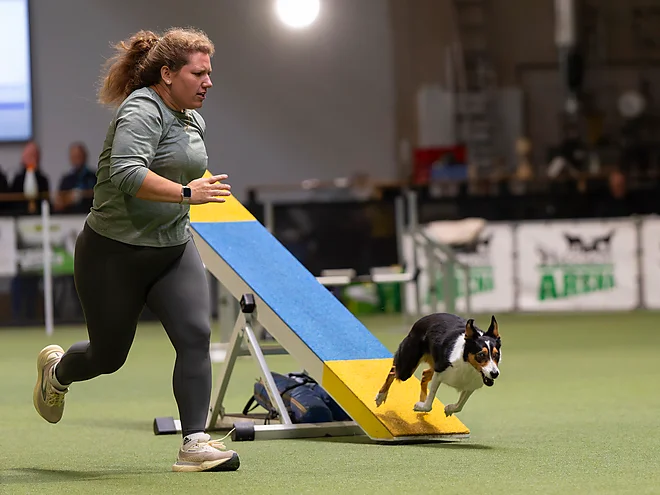 Agility Masters 2025