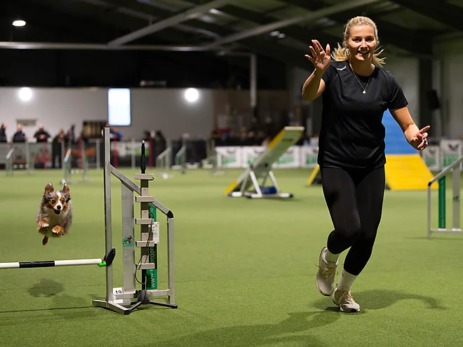Agility Masters 2025