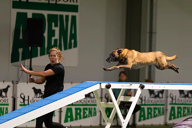 Agility Masters 2025