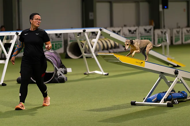 Agility Masters 2025